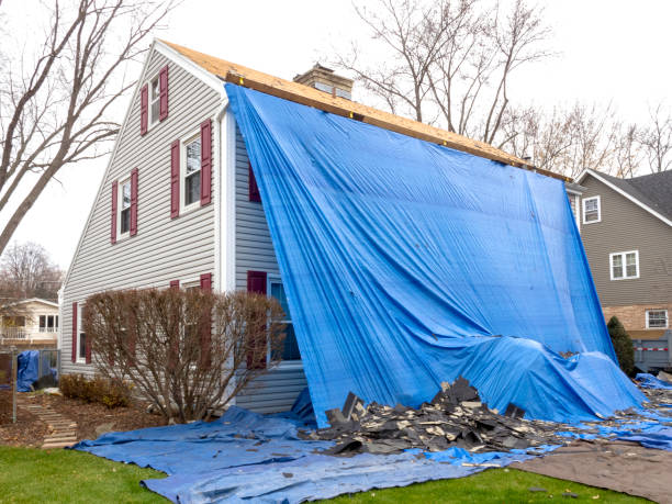 Best Siding for New Construction  in Townsend, MT